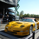 Illustration for article titled Petit Le Mans 2019 (Corvette Heavy)